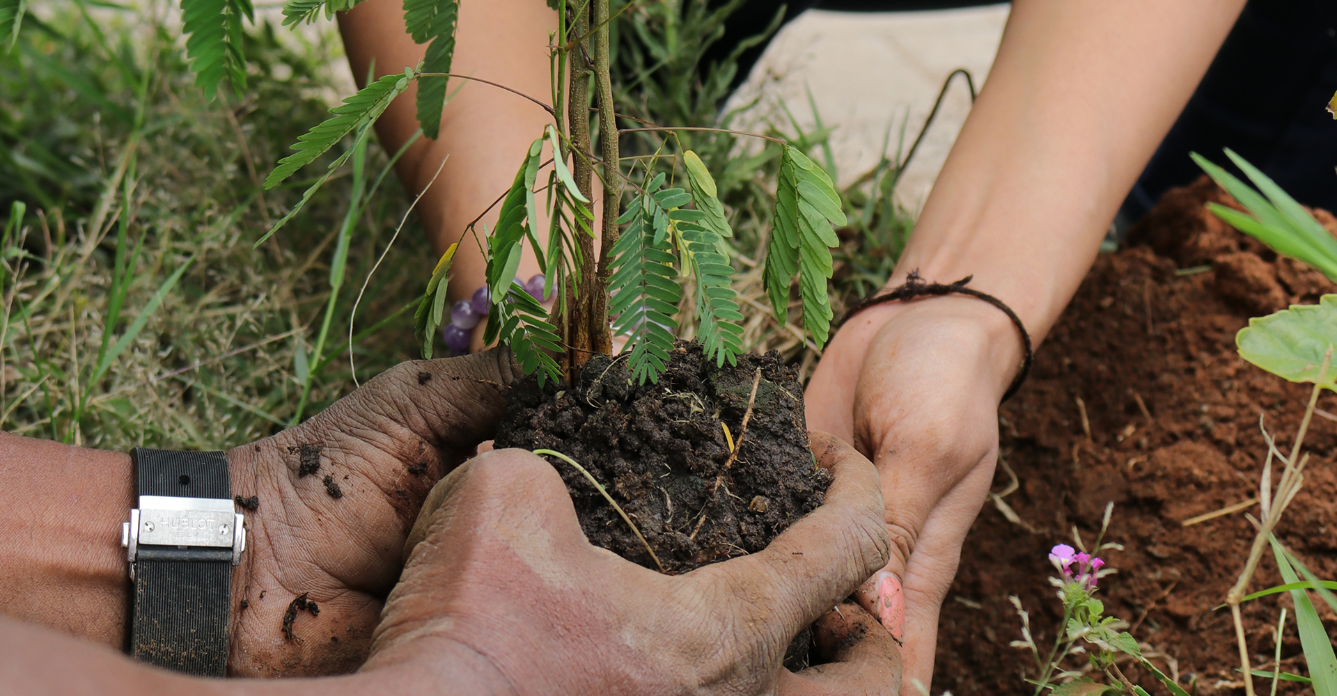 HANDING OVER A LIVING PLANET